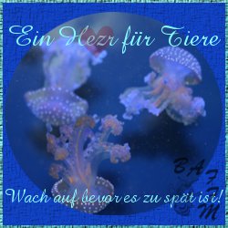 Ein-Herz-für-Tiere