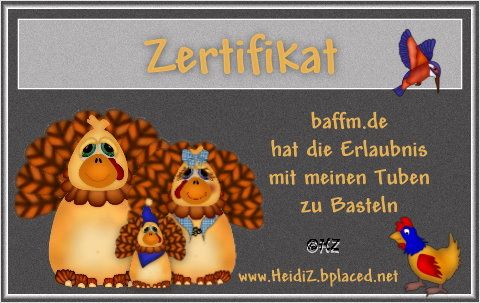 HeidiZ